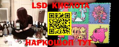 шишки Можайск