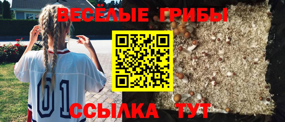 Троицк  Галлюциногенные грибы прущие грибы  Вход с VPN 