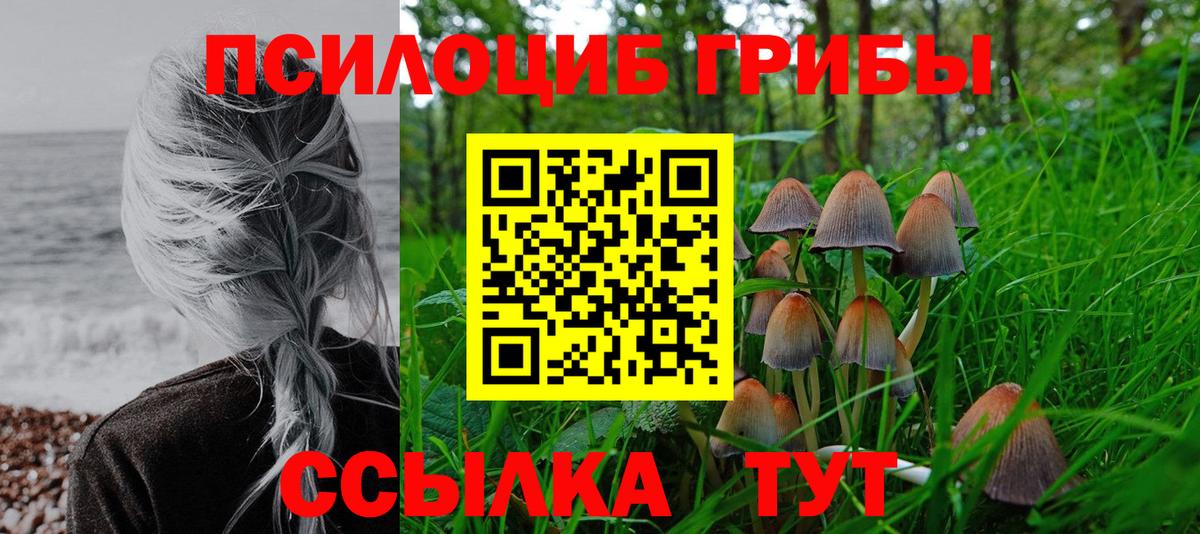 Галлюциногенные грибы Cubensis Троицк