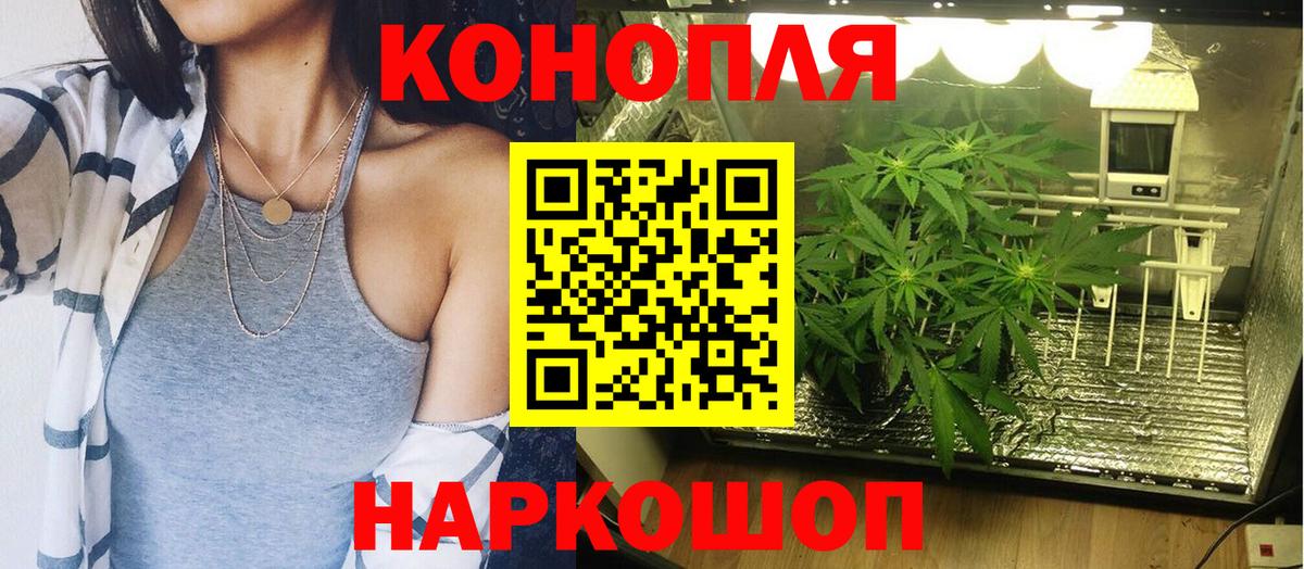Каннабис ГИДРОПОН Троицк